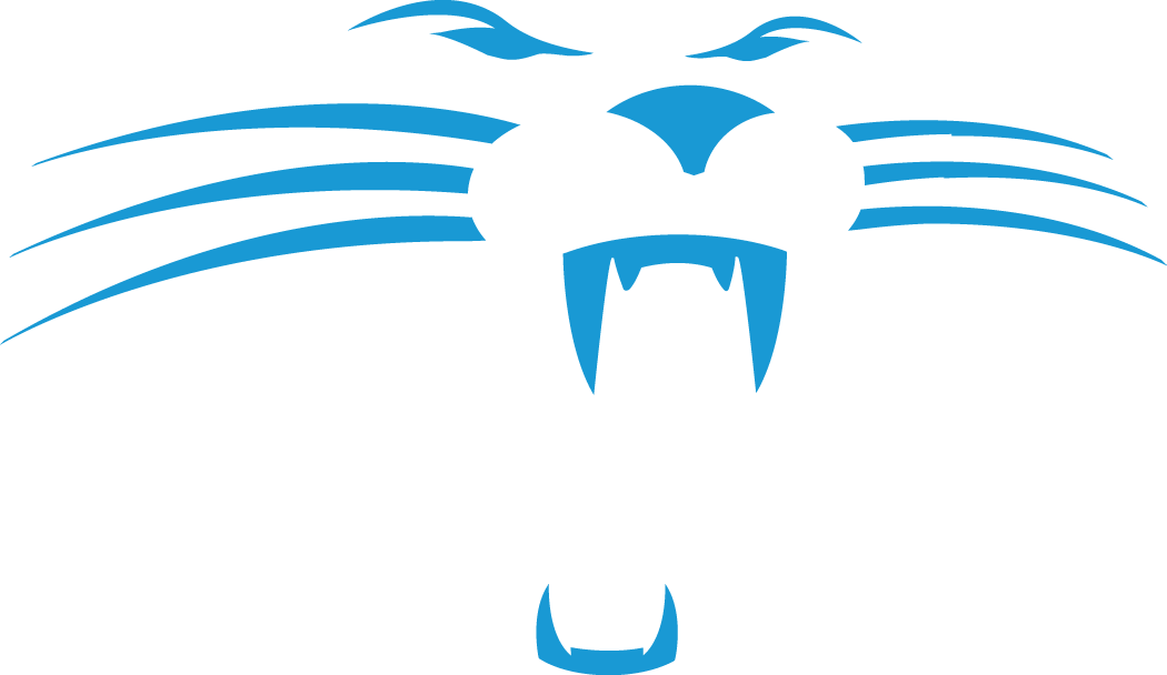 Carolina Panthers 1995-2011 Alternate Logo fabric transfer version 3